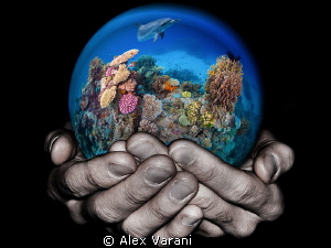 Take care of the reef by Alex Varani 